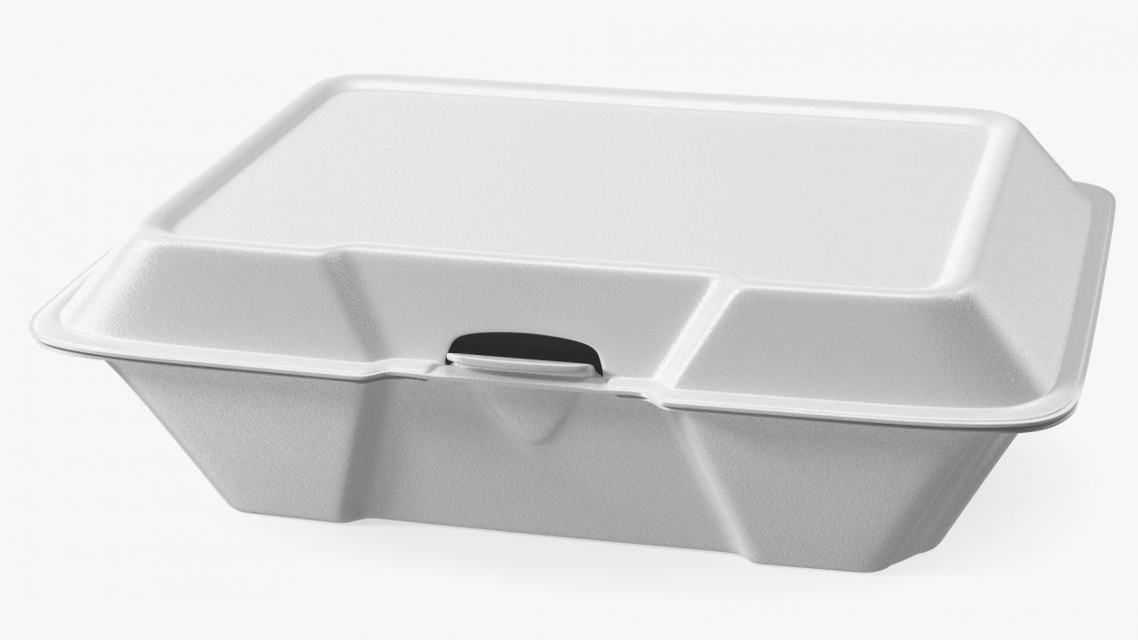 Disposable Food Tray Closed 3D