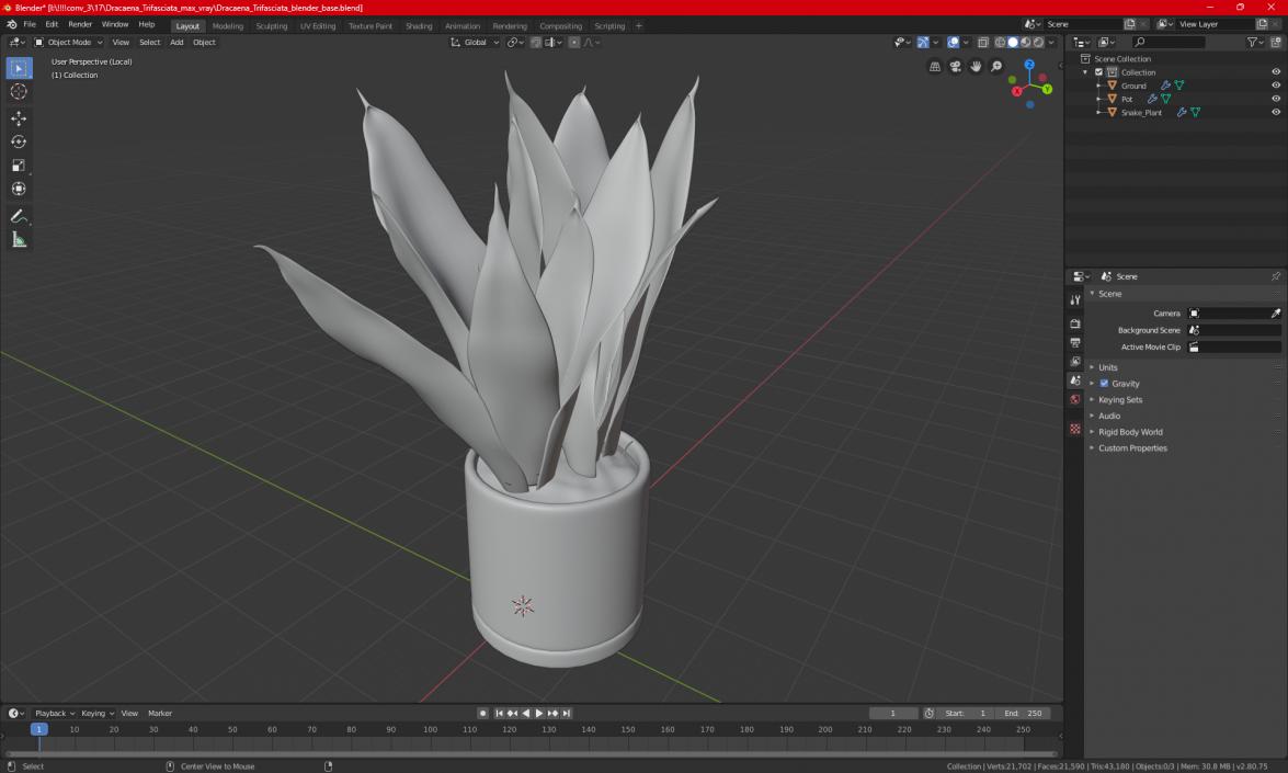 Mother in Laws Tongue Plant 3D