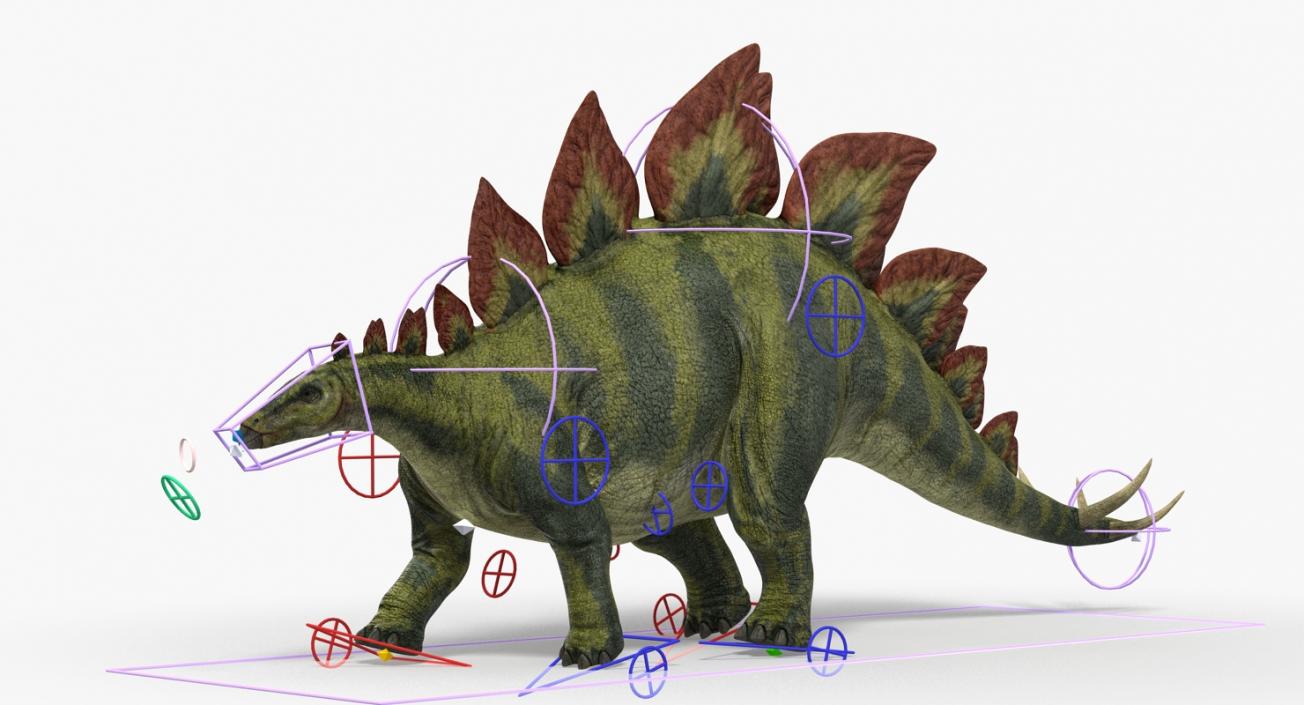 3D Stegosaurus Rigged model