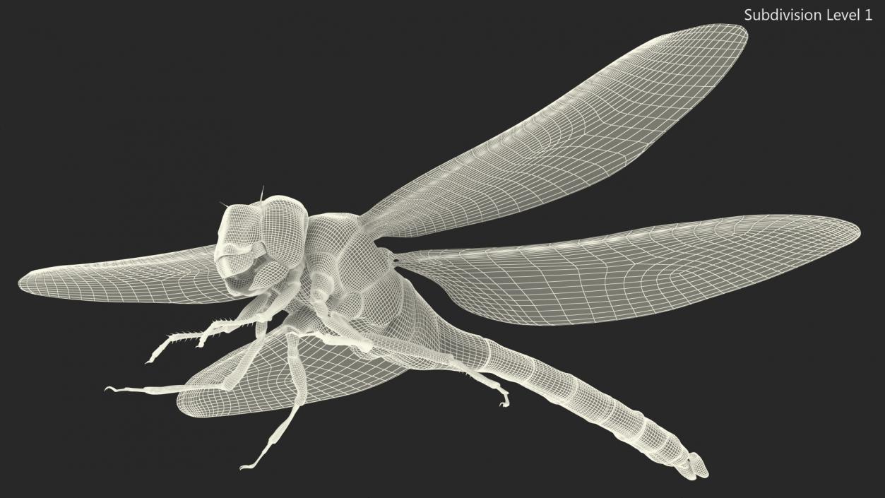 3D model Dragonfly Rigged for Cinema 4D