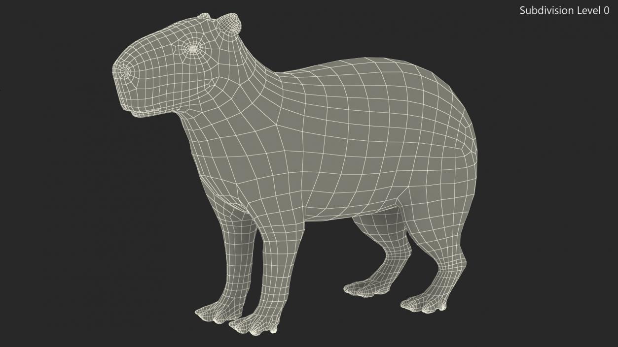 3D model Capybara