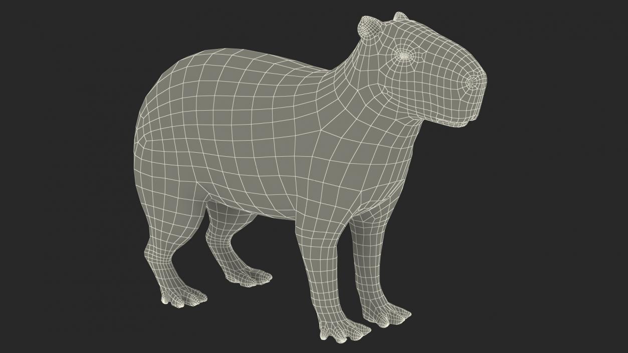 3D model Capybara