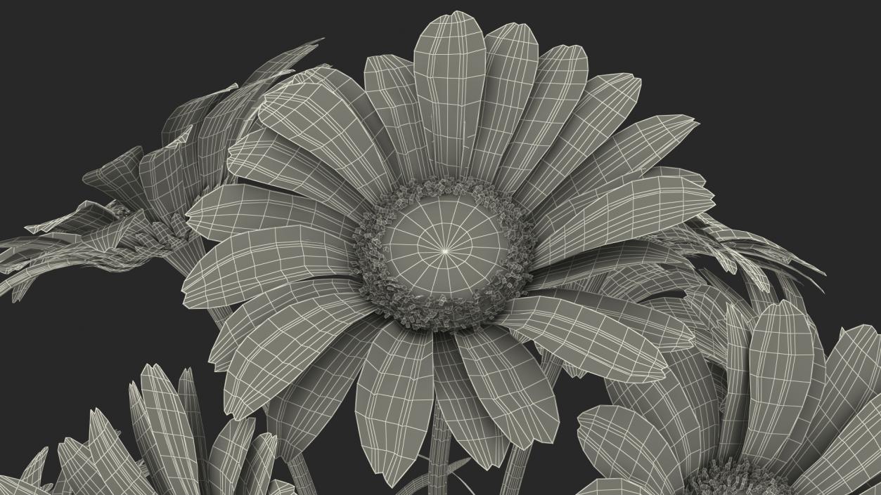 3D Bouquet of Chamomile Flowers model