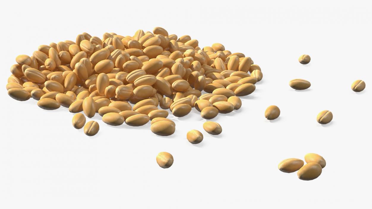 3D Wheat Grain Pile