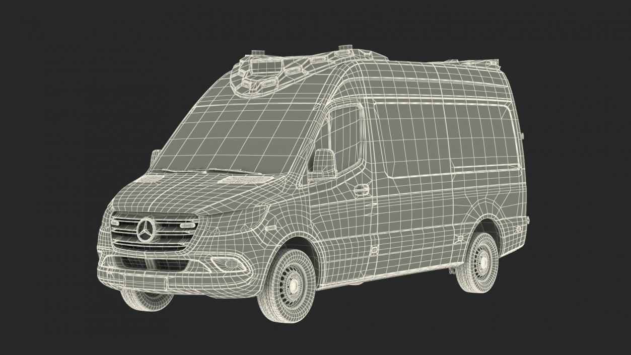 Mercedes Benz Sprinter Paramedic Ambulance Rigged 3D model