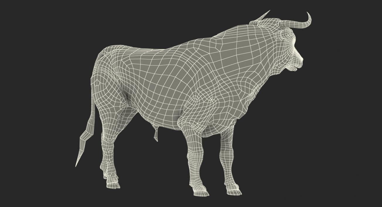 3D Bull Standing Pose model
