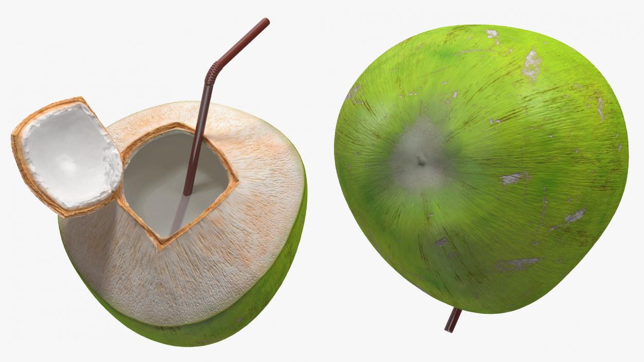 3D Opened Green Coconut with Straw