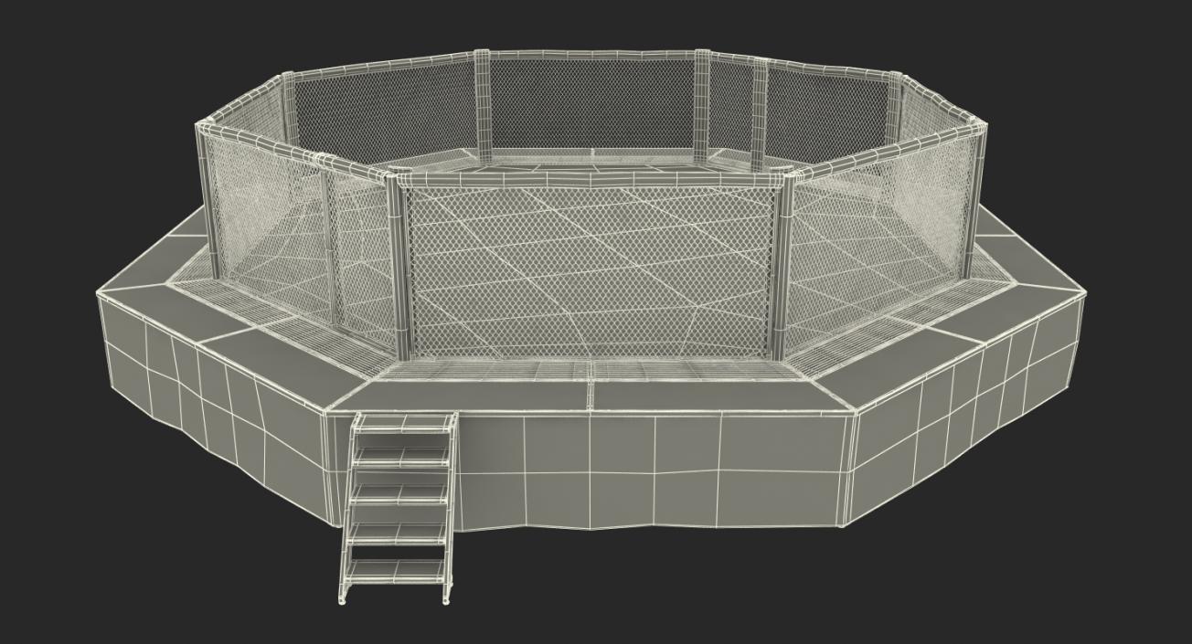 Fighting Octagon Arena 3D