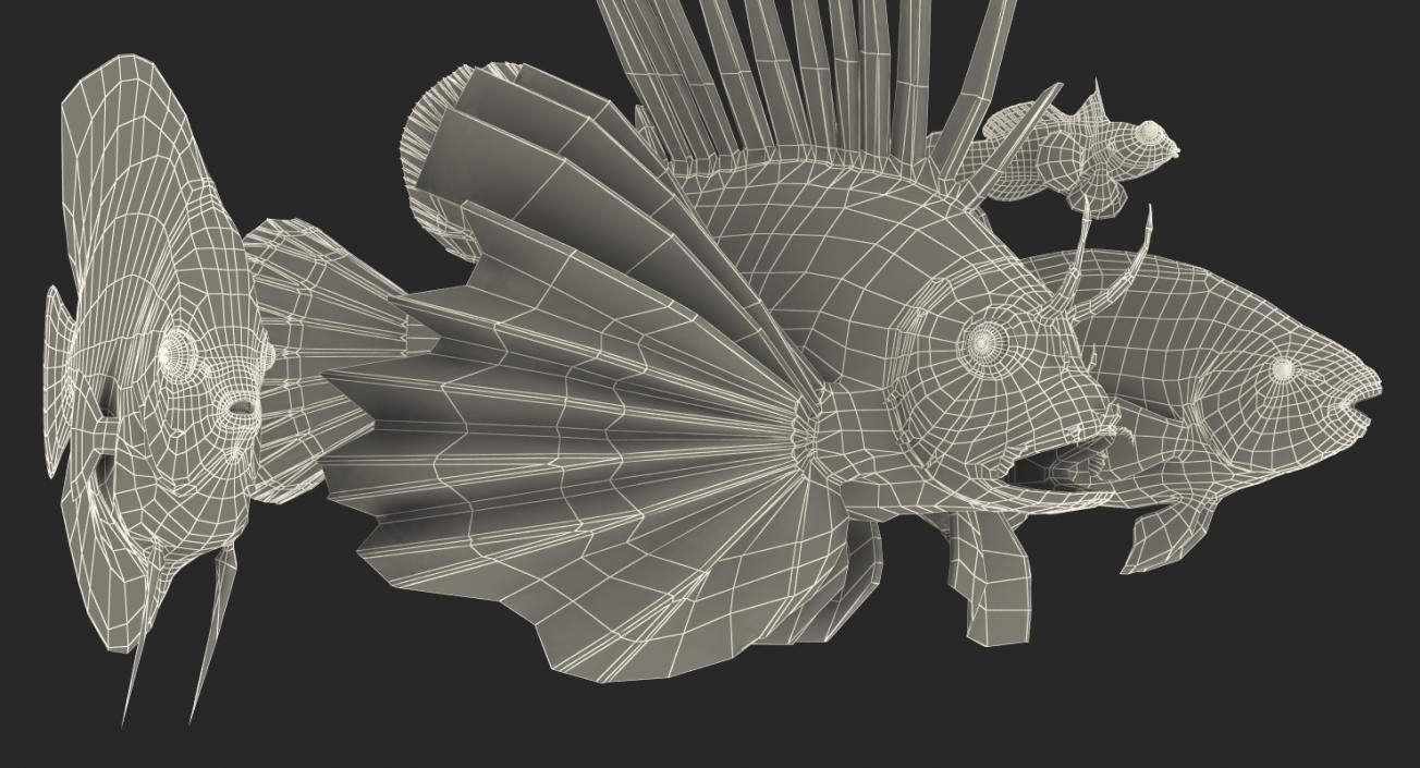 Coral Fishs Collection 2 3D model