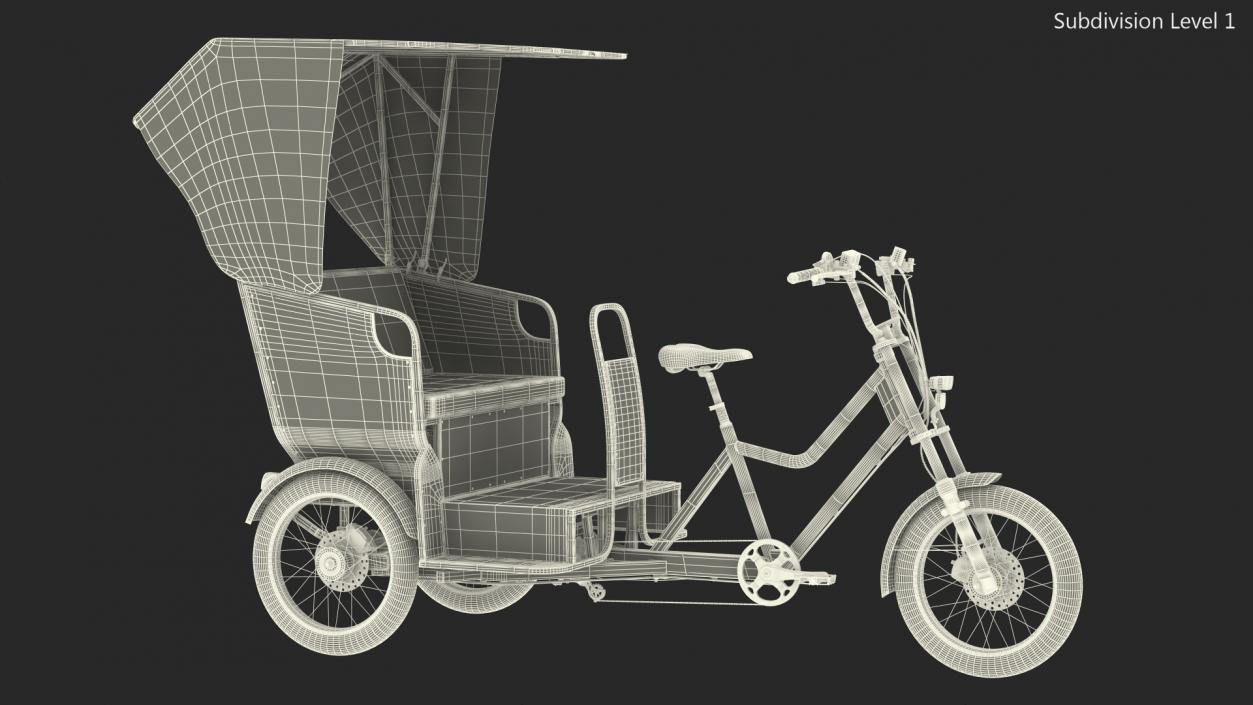 3D Commercial Grade Electric Trike with Passenger Seat