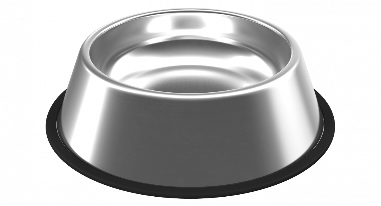 3D Empty Stainless Steel Bowl