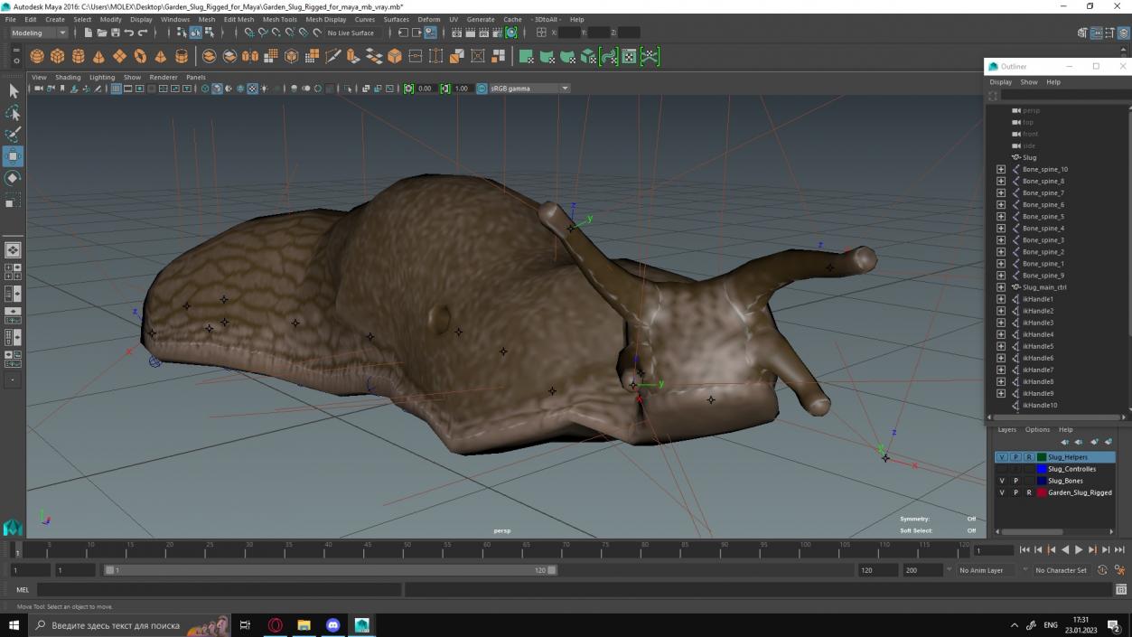 Garden Slug Rigged for Maya 3D