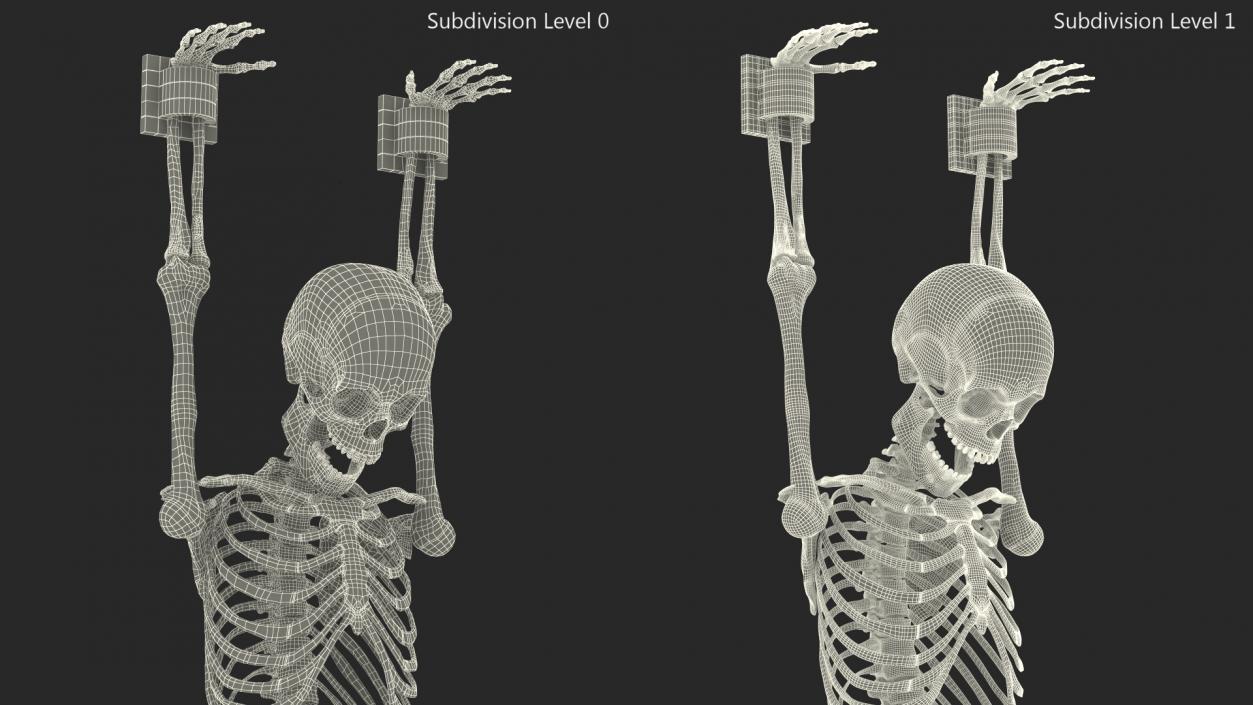 3D Human Male Skeleton Shackled model