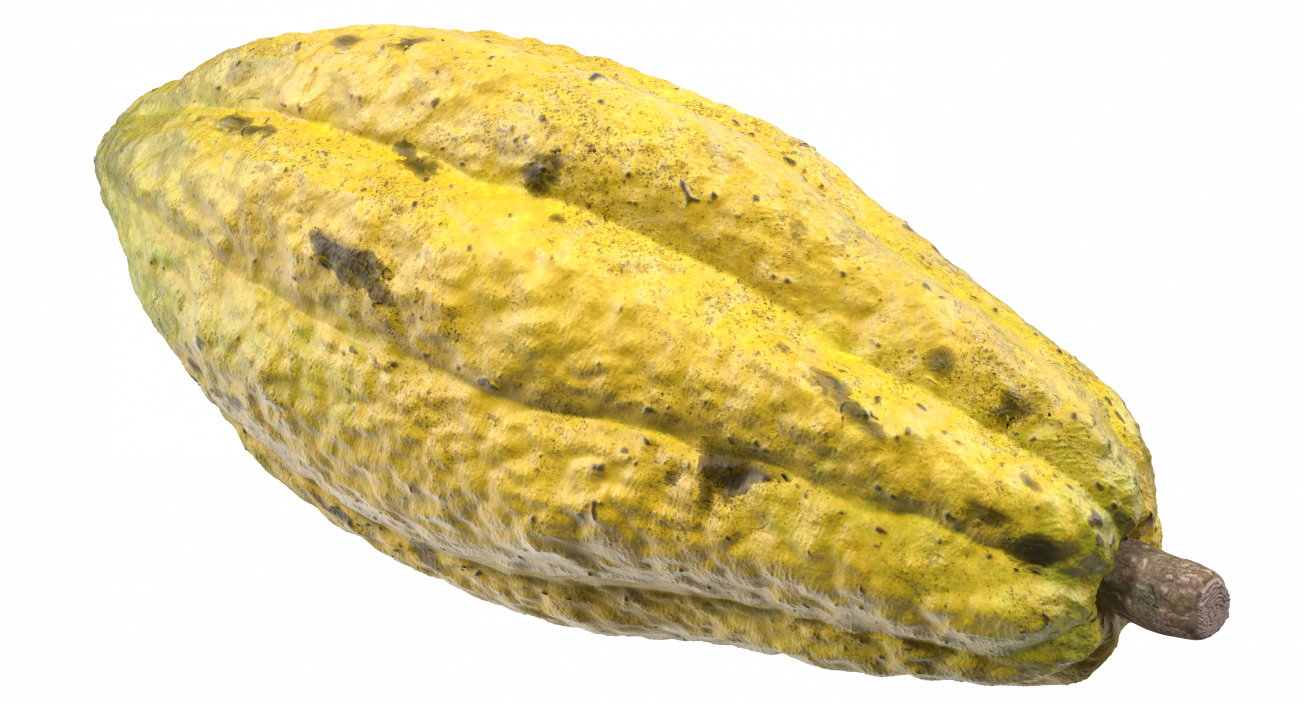 3D Yellow Cocoa Fruit model