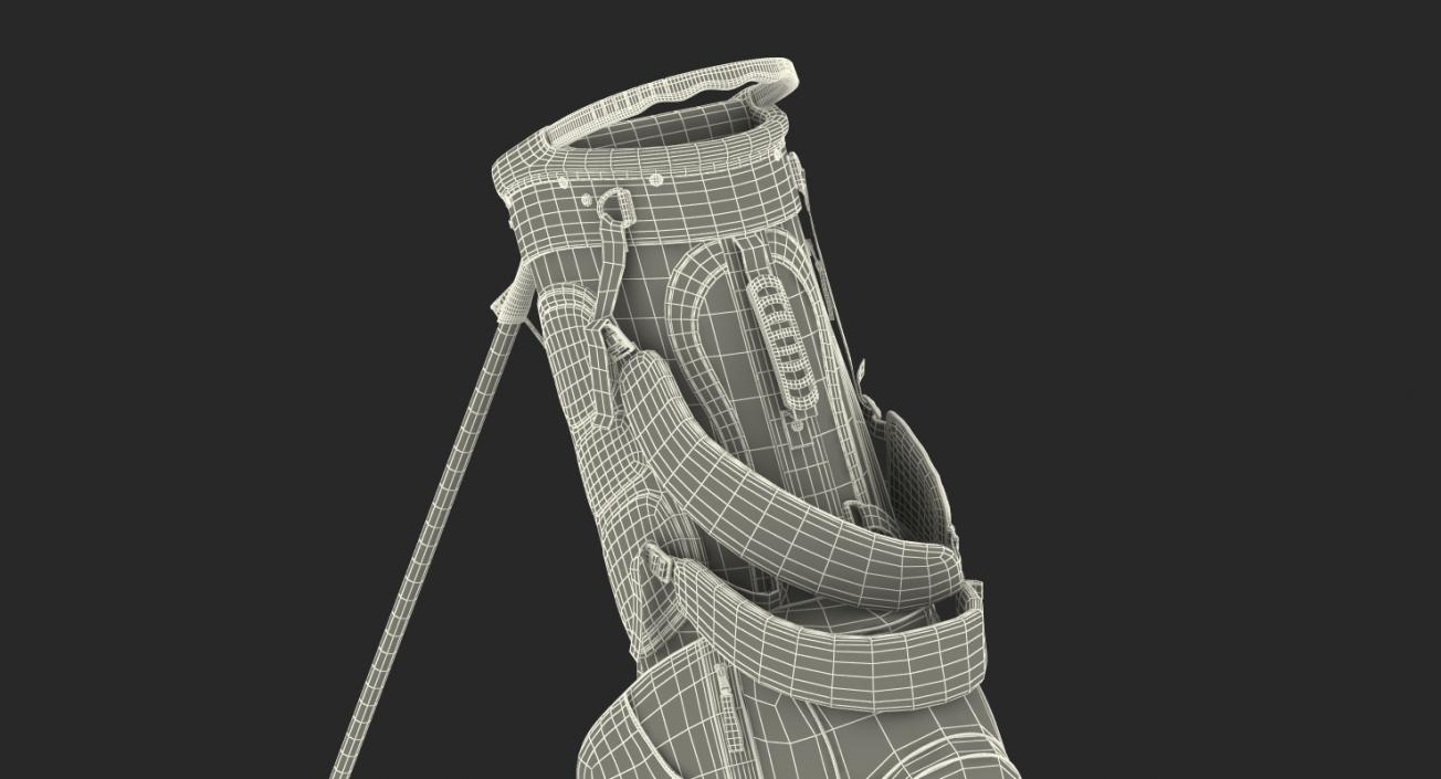 3D model Golf Bag 2