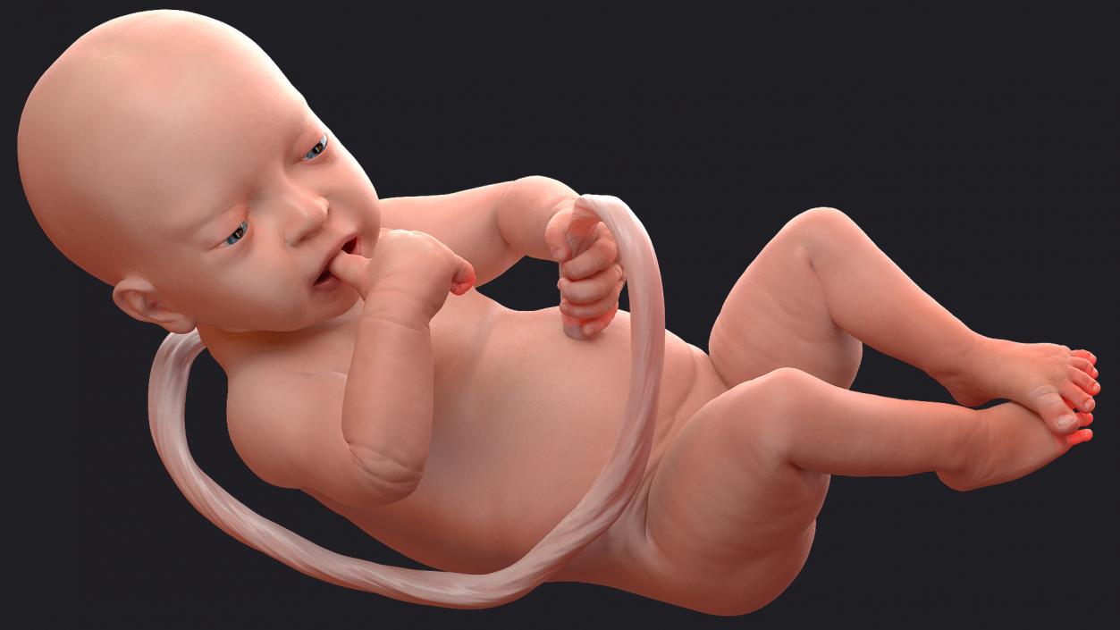 Baby Boy at 32 Weeks Rigged 3D