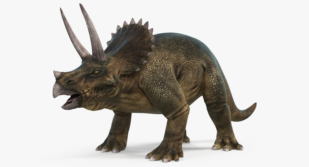 3D Triceratops Rigged model