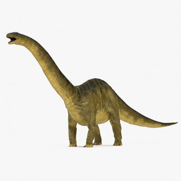 3D model Apatosaurus Dinosaur