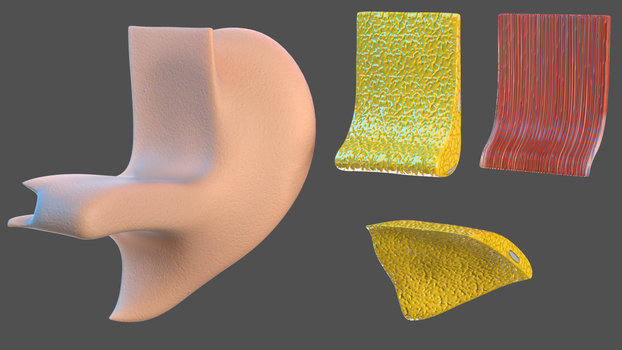 3D Ear Structure model