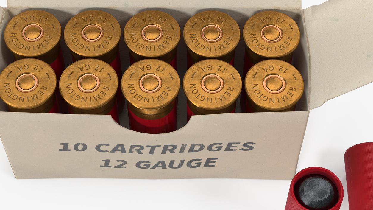 3D model Box of 12 Gauge Shotgun Shells