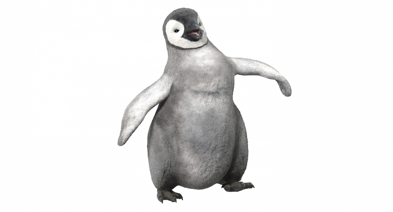 Baby Emperor Penguin Rigged 3D
