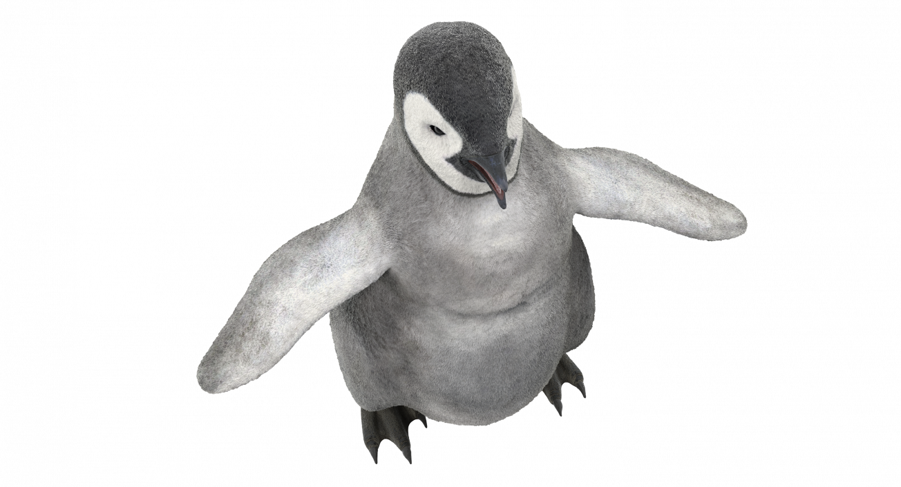 Baby Emperor Penguin Rigged 3D