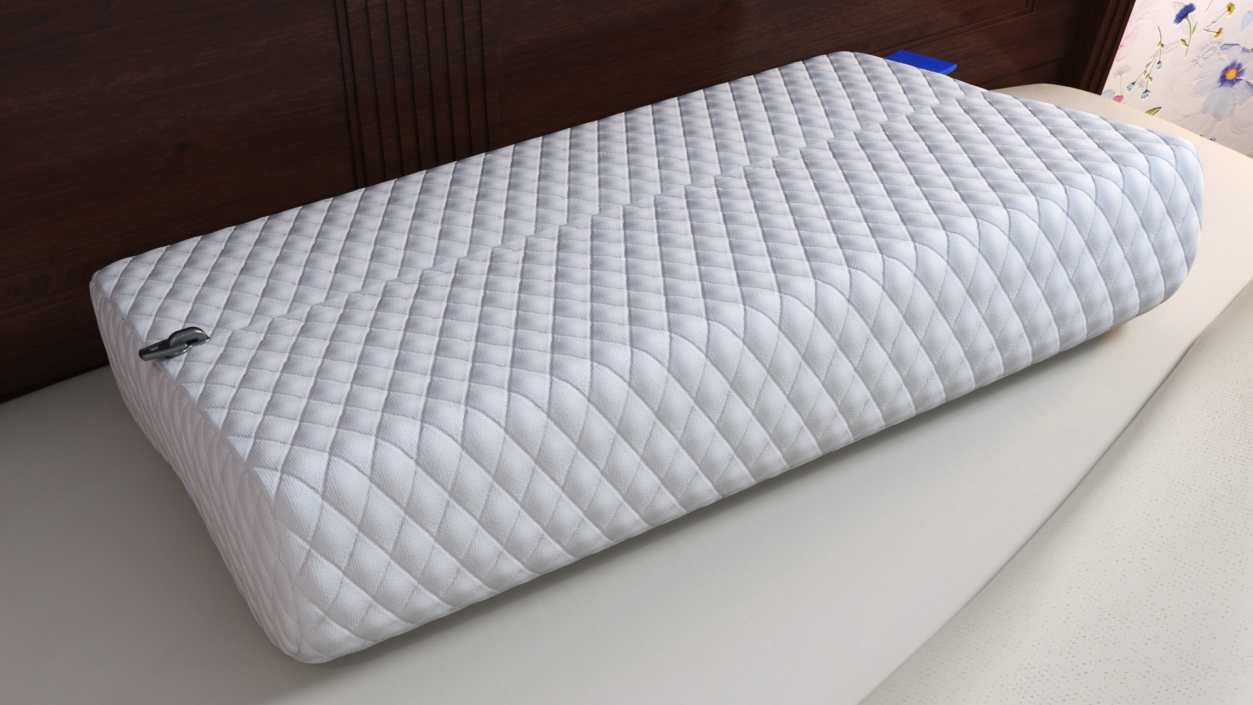 Contoured Orthopedic Memory Pillow 3D model