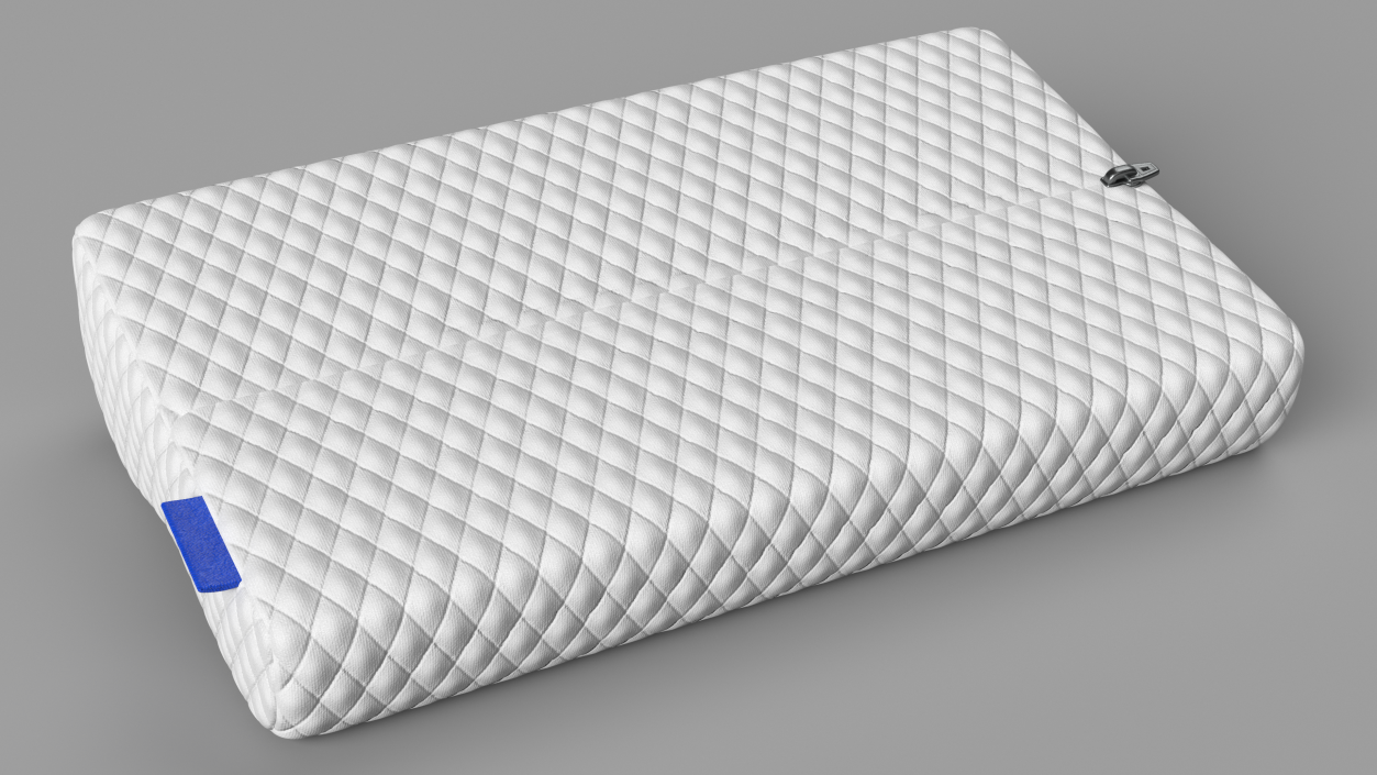Contoured Orthopedic Memory Pillow 3D model