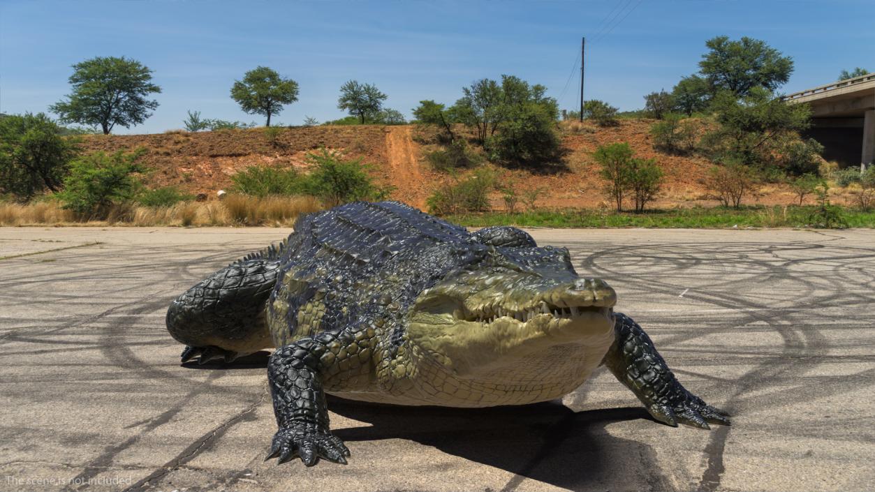 Animated Crocodile Eating Rigged 3D