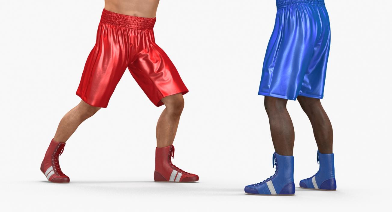 3D Two Boxers Fighting 2