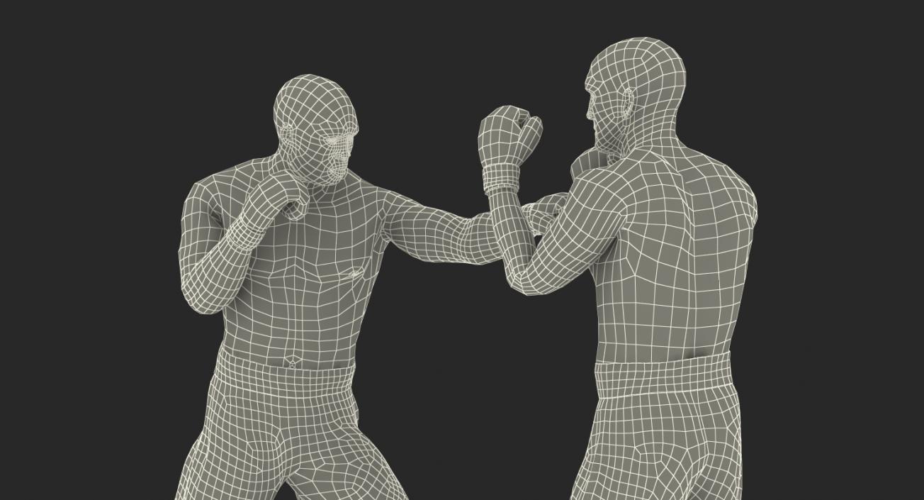 3D Two Boxers Fighting 2