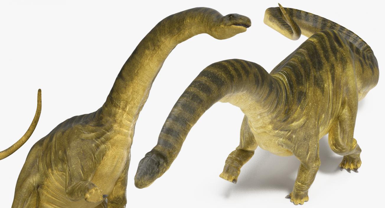 3D Apatosaurus Dinosaur Walking Pose model