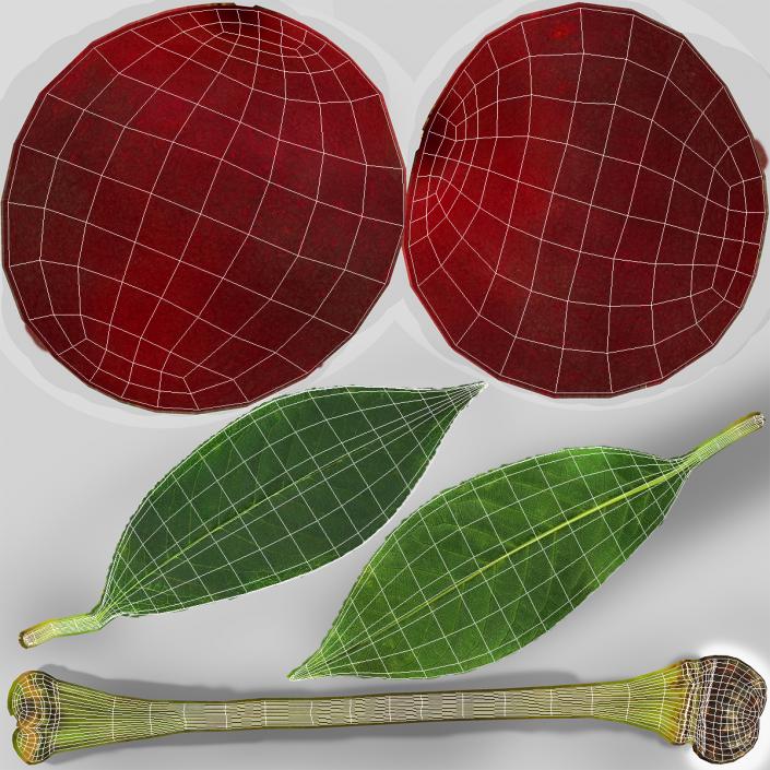 3D Cherry with Leaf