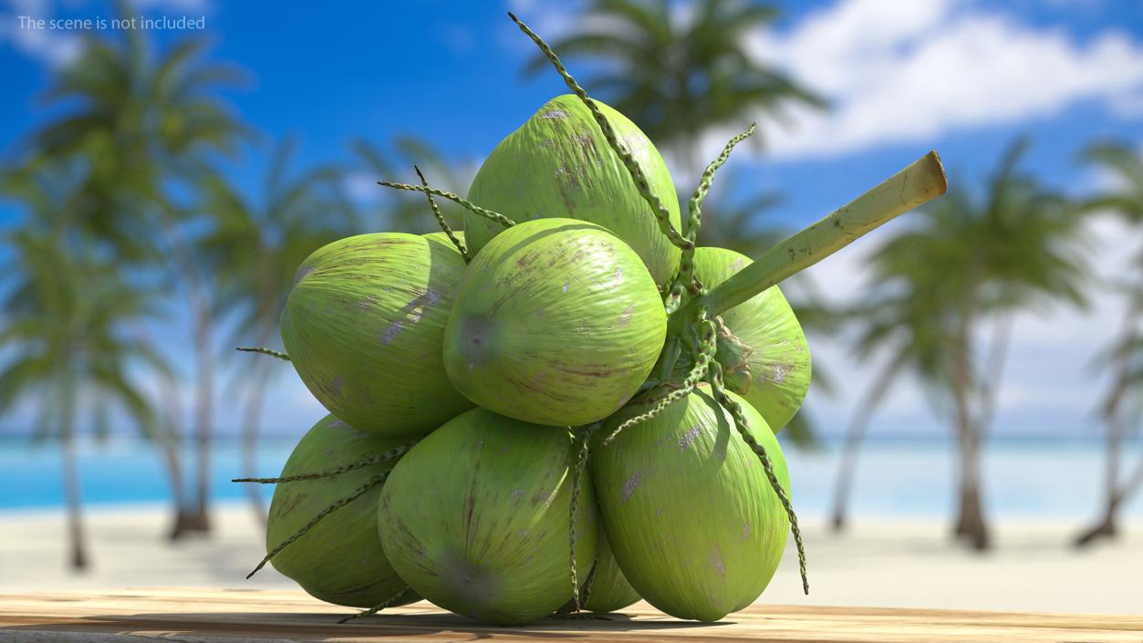 3D Green Coconut Cluster