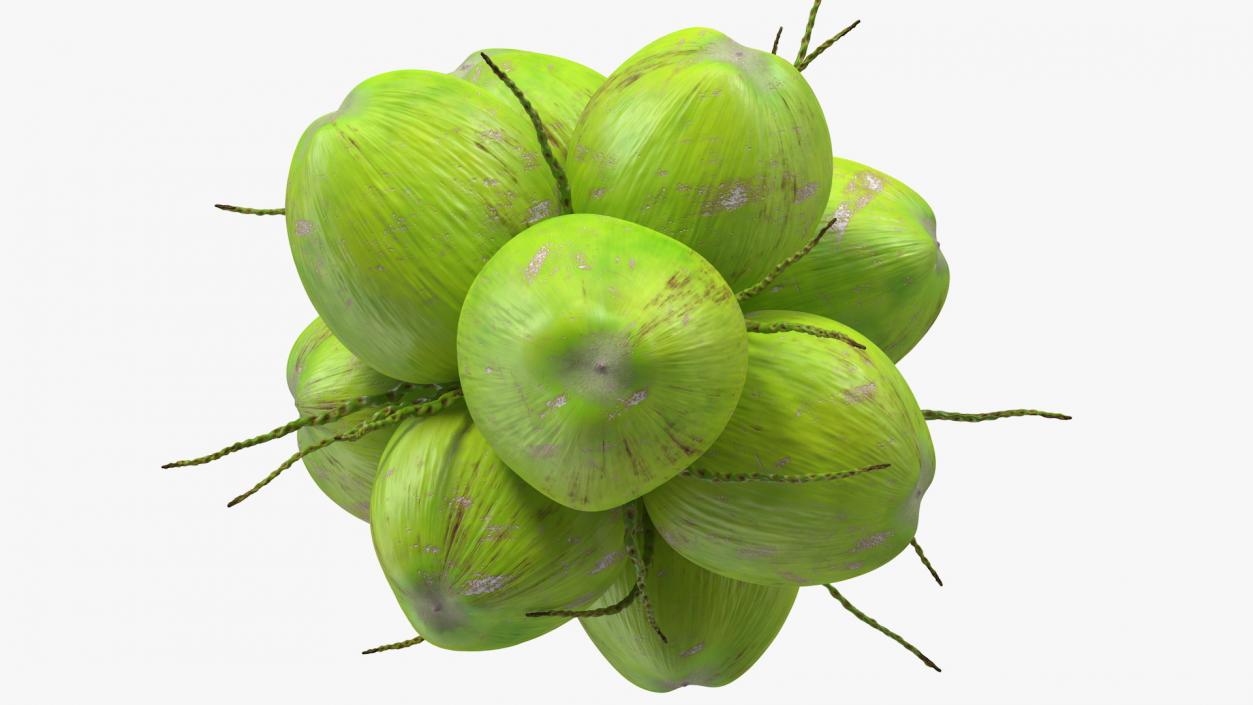 3D Green Coconut Cluster