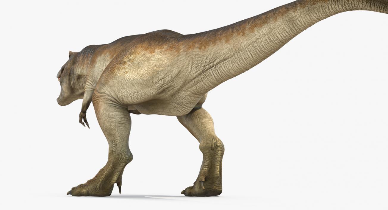 3D model Tyrannosaurus Rex Walking