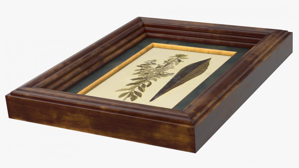 3D Picture Frame Dark Wood with Gold model