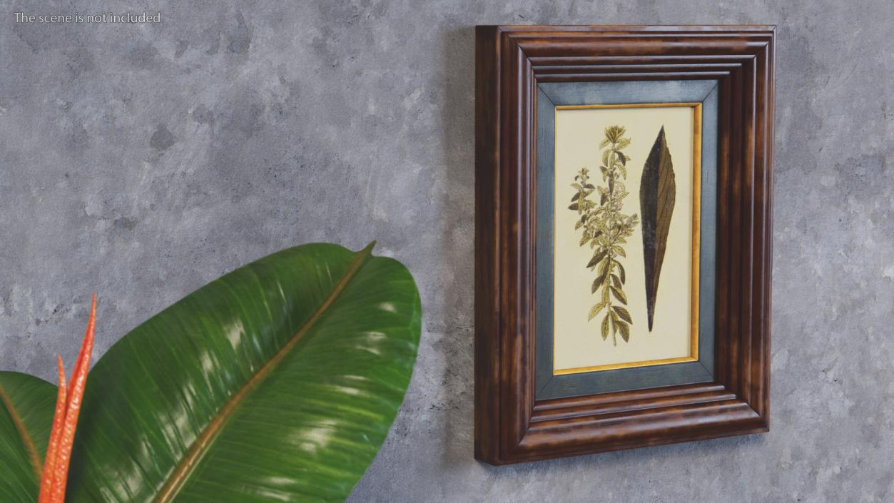 3D Picture Frame Dark Wood with Gold model