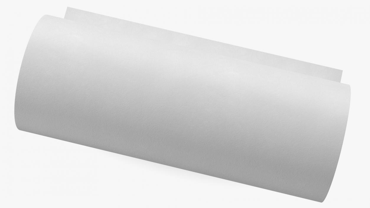 Eco White Wrapping Paper Roll 3D model