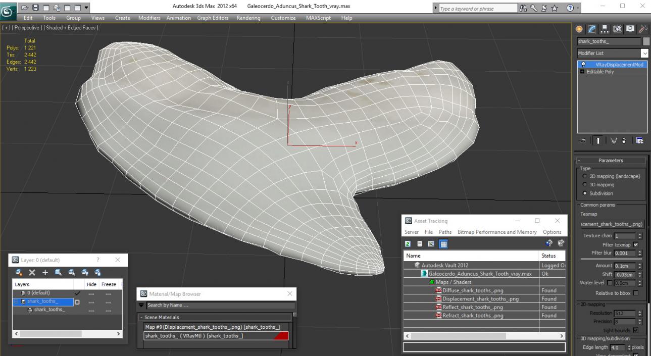 3D model Galeocerdo Aduncus Shark Tooth