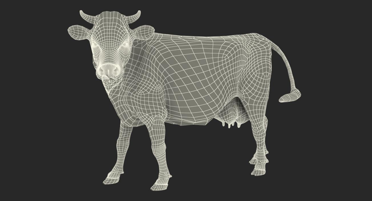 Holstein Cow 3D