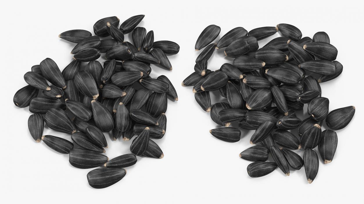 3D Black Sunflower Seeds Pile