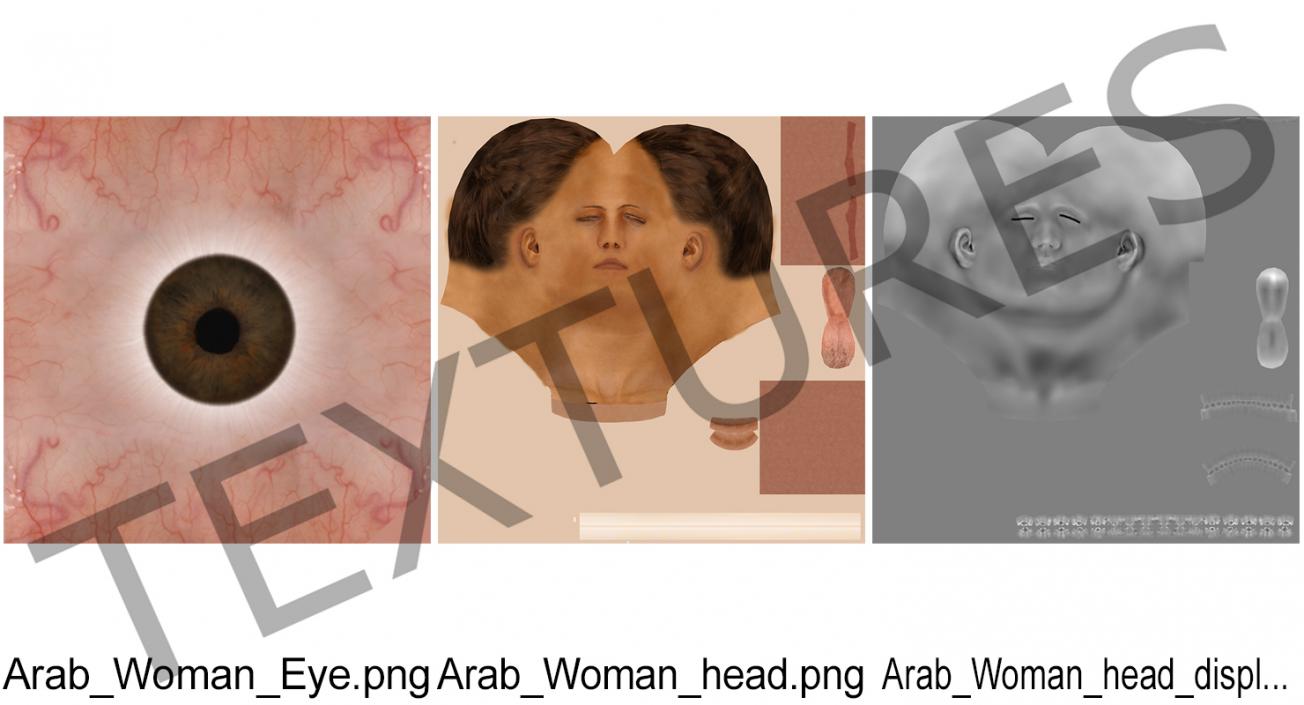 3D Arabian Woman Head model