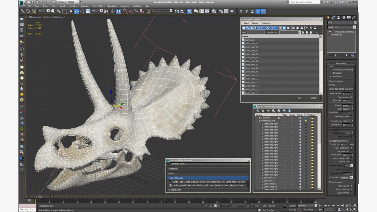 Triceratops Skull 3D