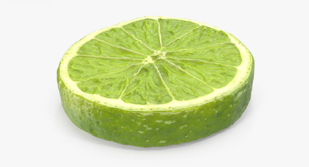 3D model Lime Slice