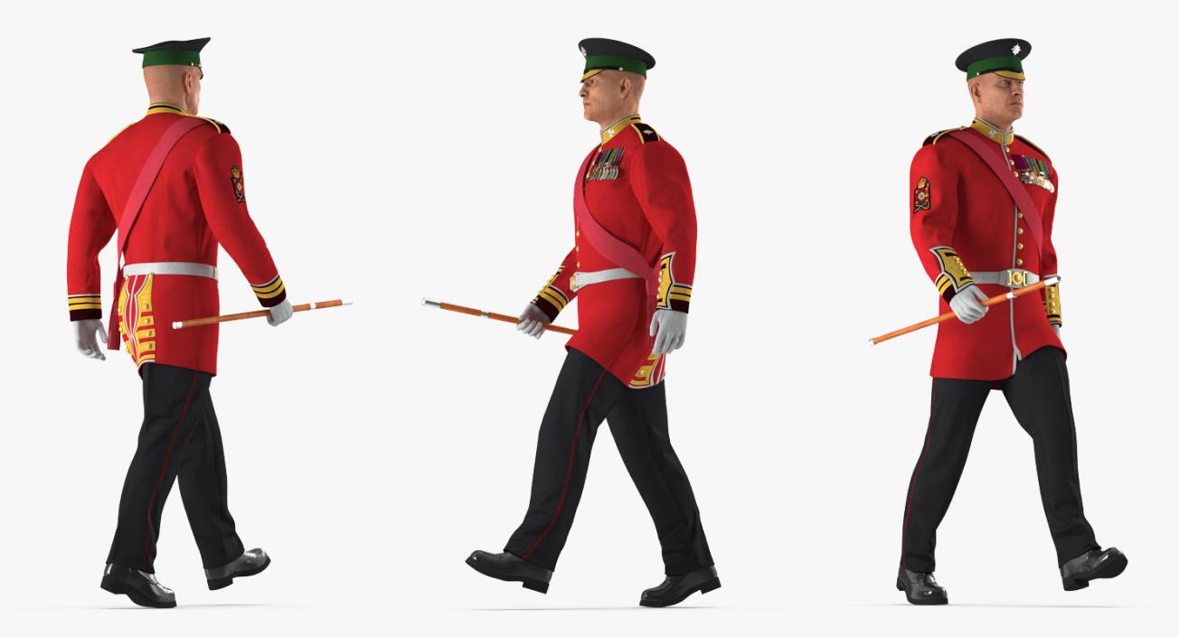 3D Irish Guard Sergeant Walking model