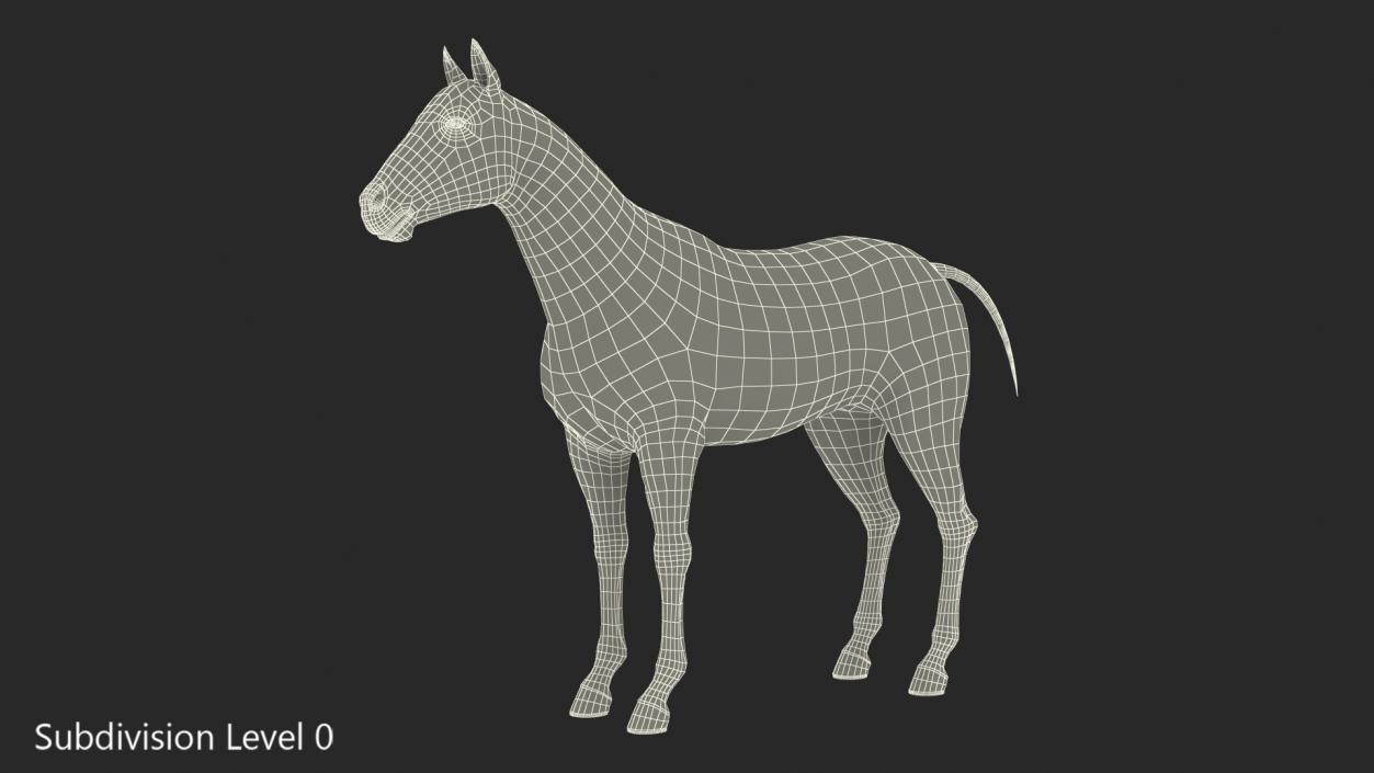 3D Bay Horse Fur model