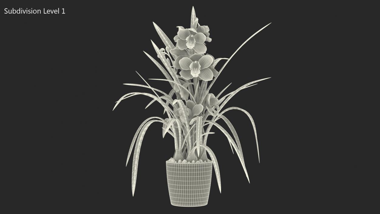 3D Orchid Pot White