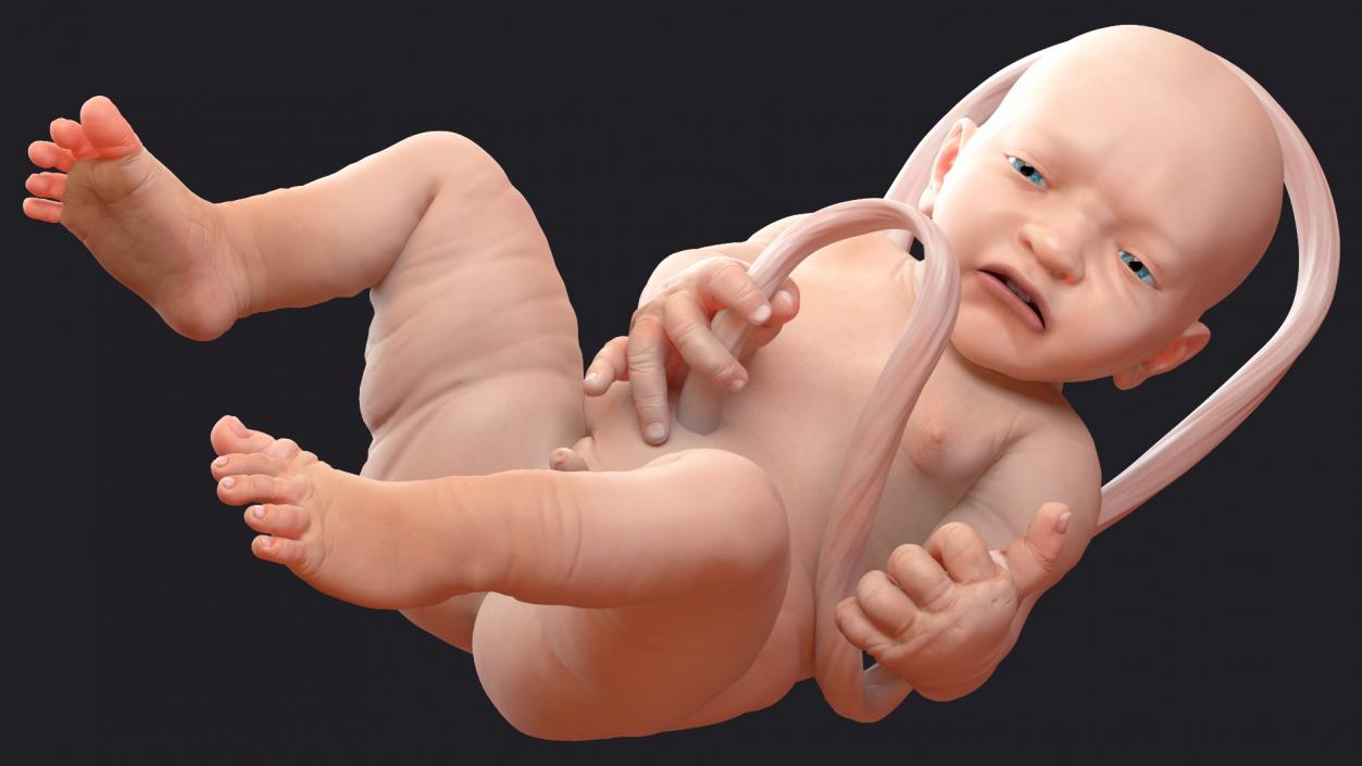 Baby Boy at 38 Weeks Rigged 3D