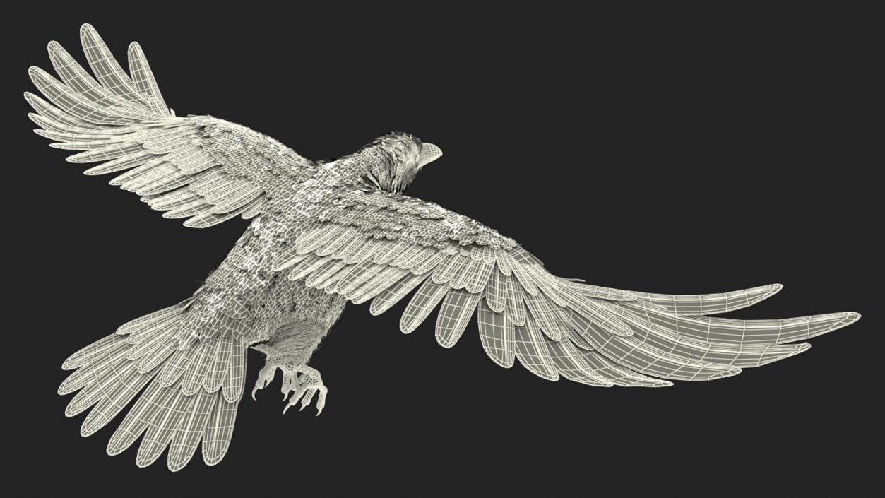 Raven Landing Animated Rigged 3D model